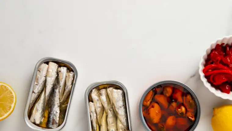 sardine freepik
