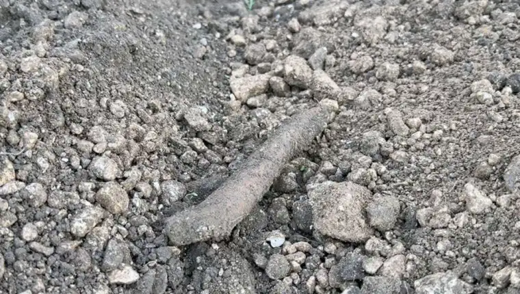 kletva artefakti