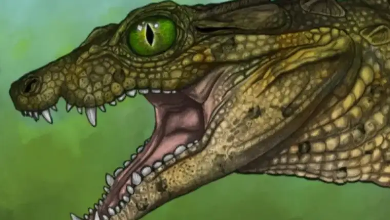 krokodil fosil