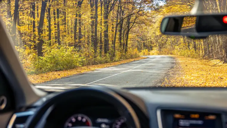 auto jesen freepik