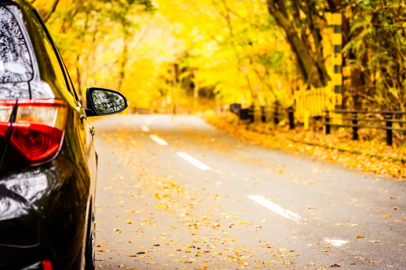 jesen auto freepik