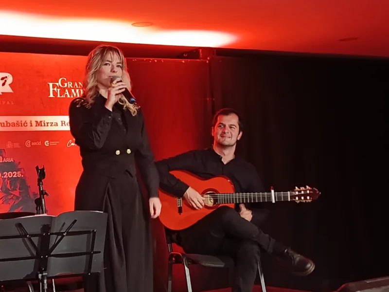 flamenco2