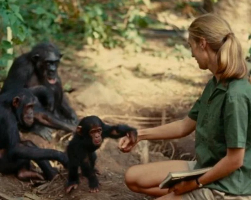 Dame Jane Goodall