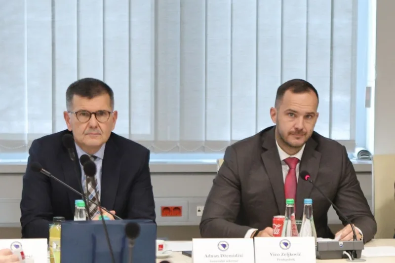 dzemidzic i zeljkovic