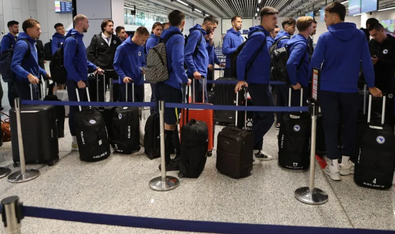 nfsbih