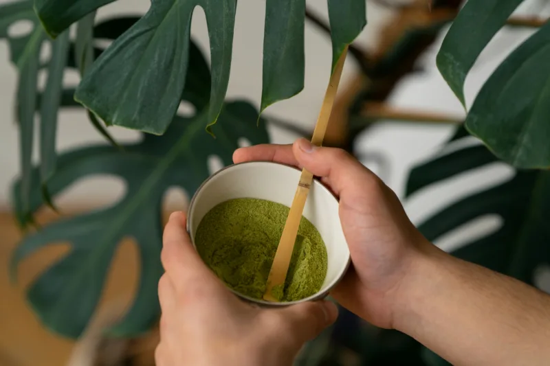 matcha