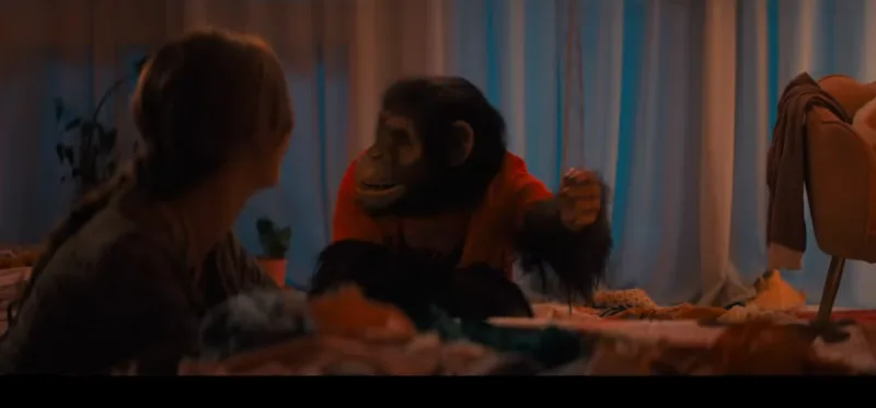 Primate
