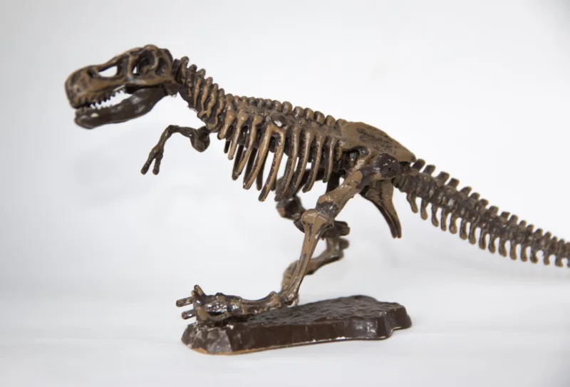 dinosaur freepik
