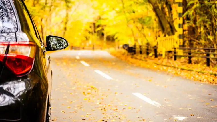 jesen auto freepik