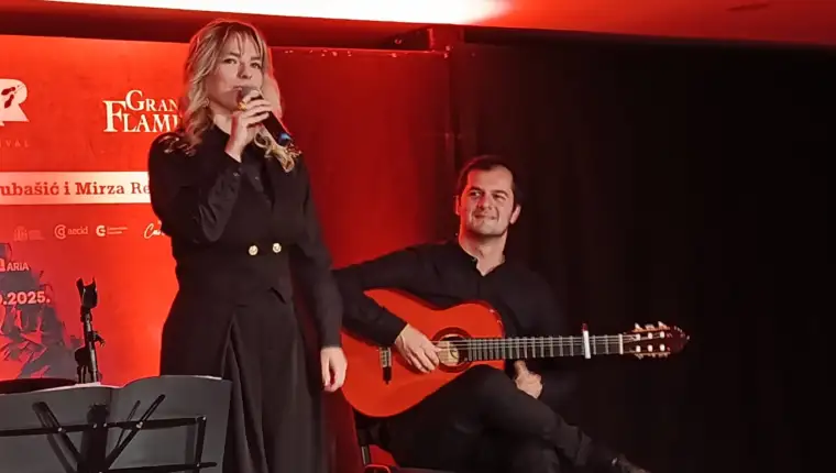 flamenco2