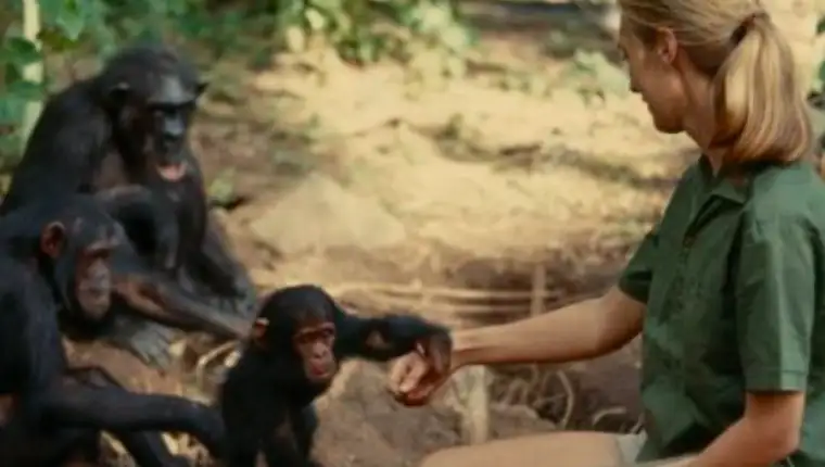 Dame Jane Goodall