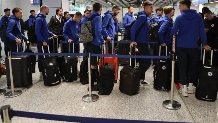 nfsbih