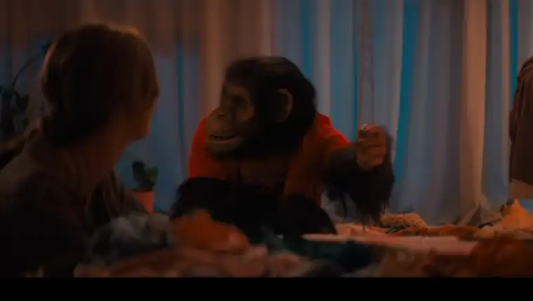 Primate