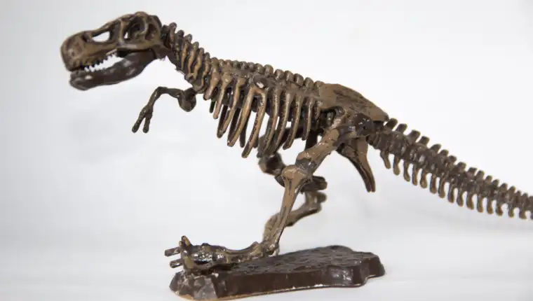 dinosaur freepik