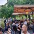 alt=