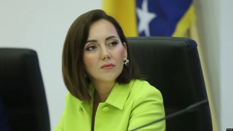 Vanja prutina bjelica