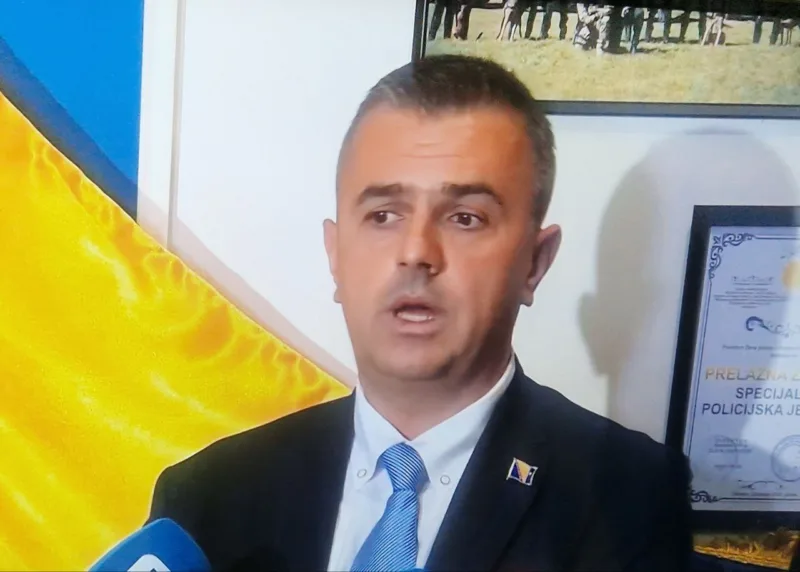 Hadziomerovic2
