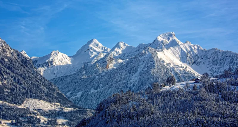 Alpe freepik