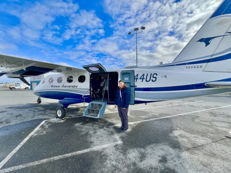 Kenai Aviation