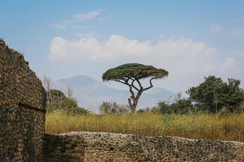 Tanzanija freepik