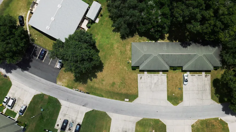 The Perfect Neighbor