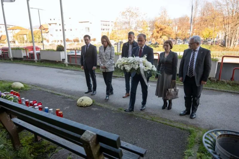 Delegacija eu tuzla