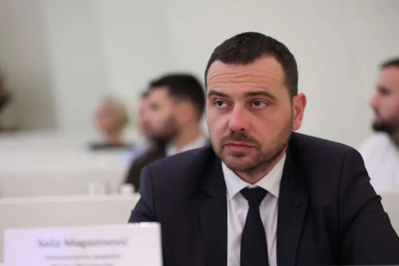 Magazinovic