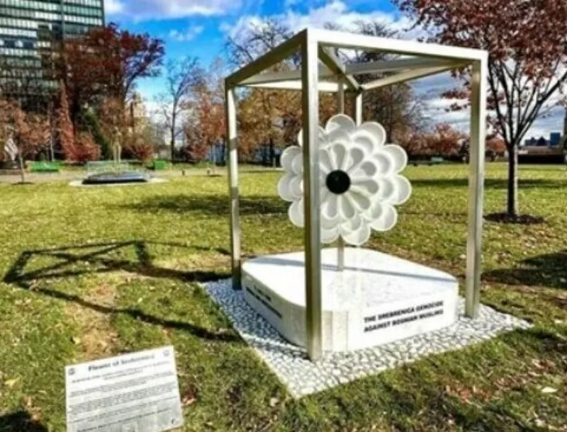 Cvijet srebrenice