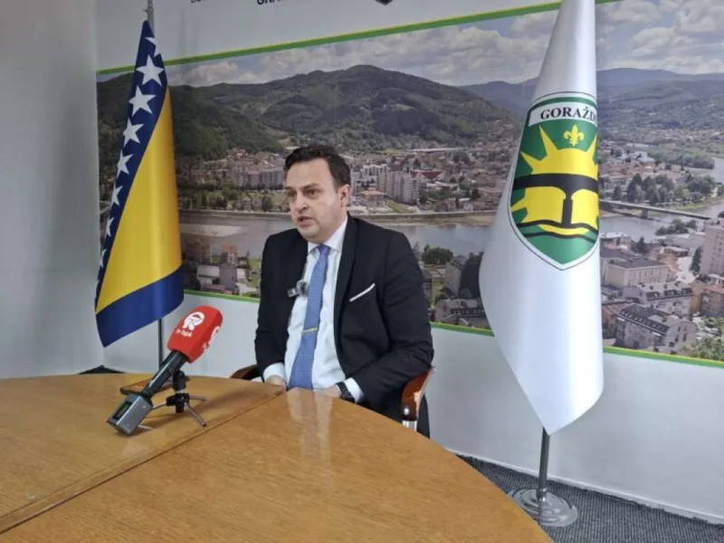 Načelnik gz