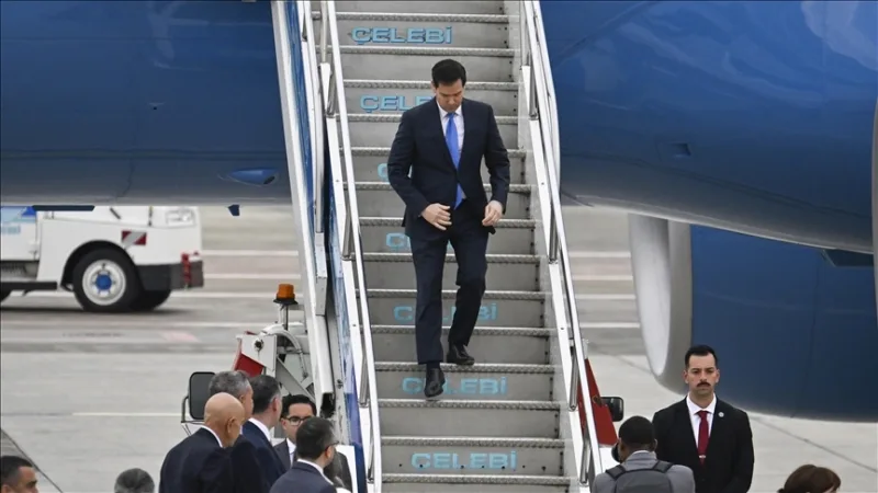 Rubio2