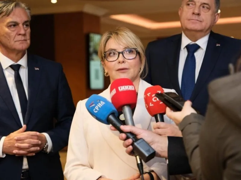 Ana trisic babic budimpesta