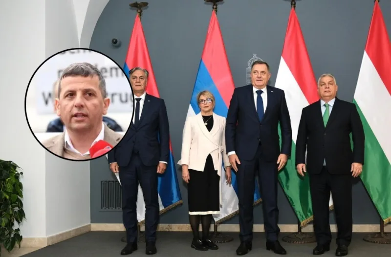Vukan madjarska