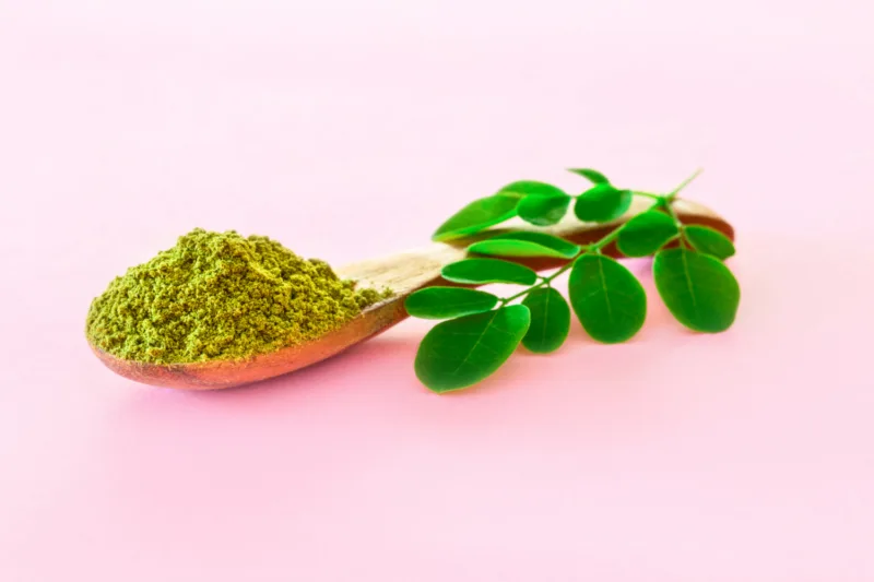 moringa freepik