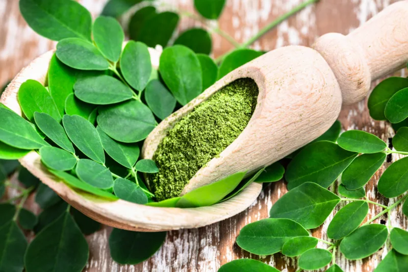Moringa freepik