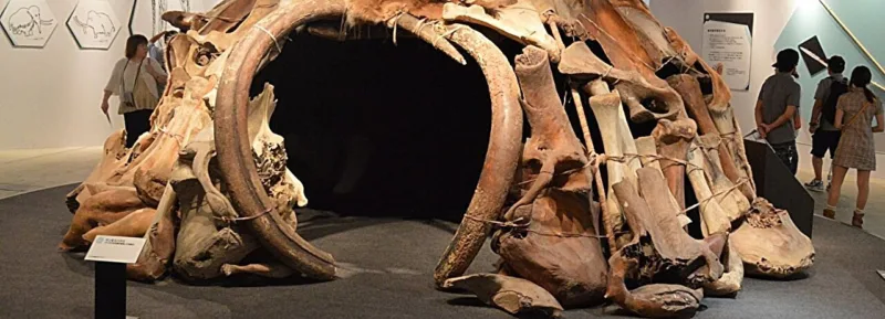 Mamut skloniste