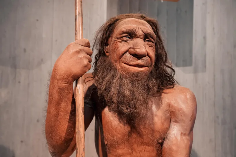 Neandertalci freepik