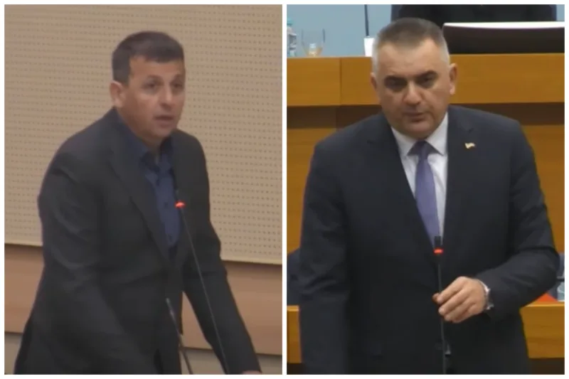 Vukanovic minic
