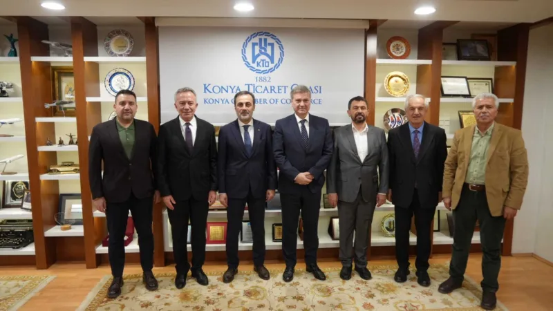 Zvizdic Konya 2