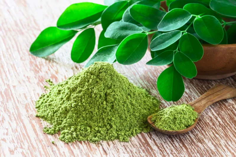 Moringa freepik