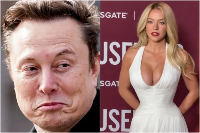 Musk sweeney