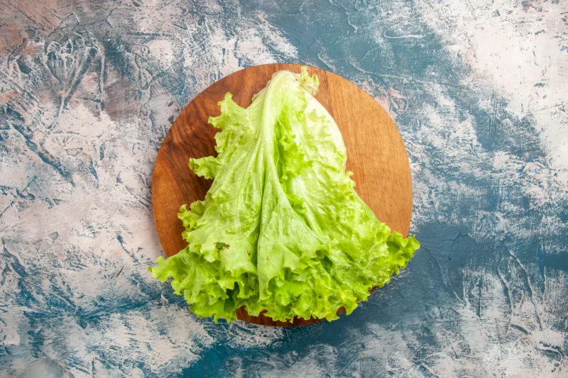 zelena salata freepik