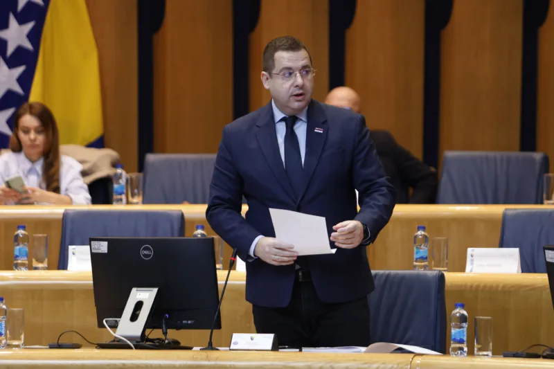 Radovan kovacevic dom naroda fena