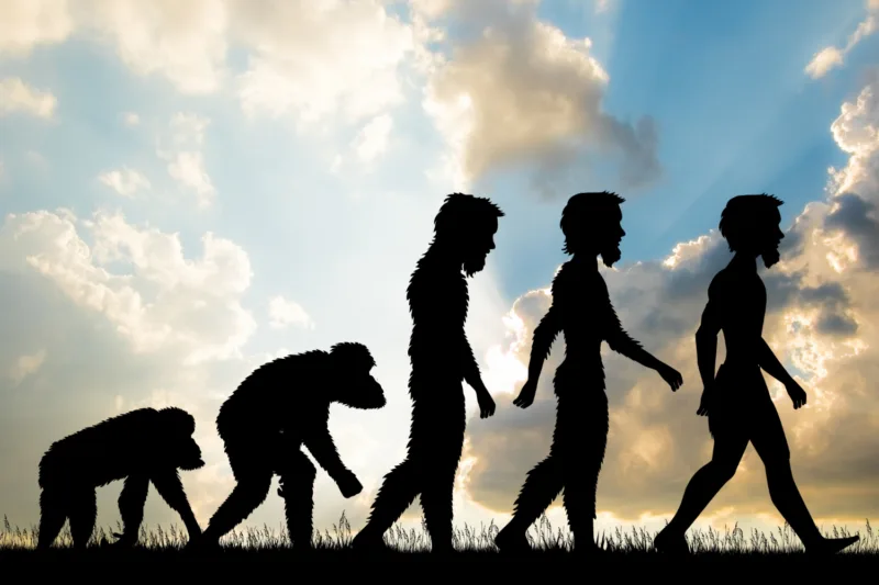 Evolucija freepik