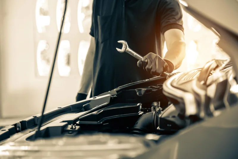 Servis freepik