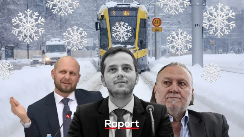 Pahuljice