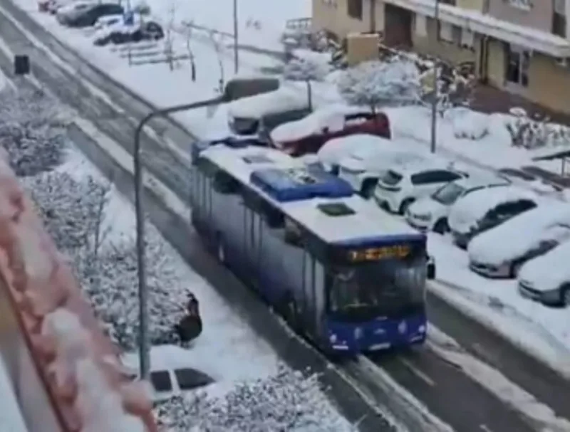 Fdf51919 ee8b 4644 ae77 1702aadc395c