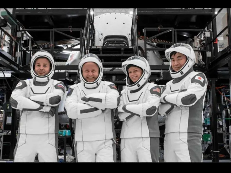 Crew 11