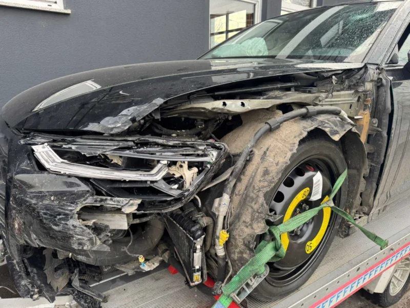 Audi djajic