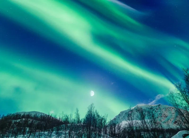 polarna svjetlost freepik