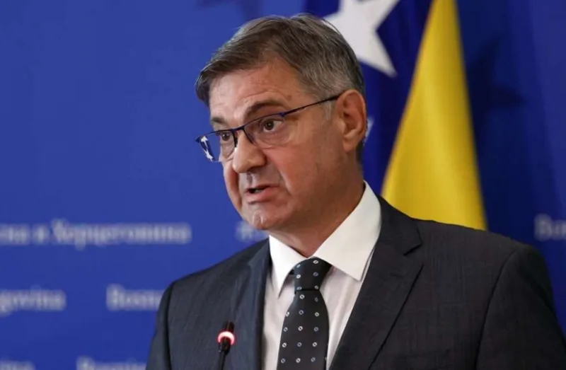 Zvizdic fena
